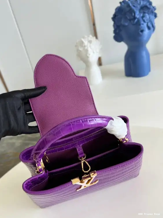 AAA Pruses Bags LOUIS BB VUITTON CAPUCINES 0516
